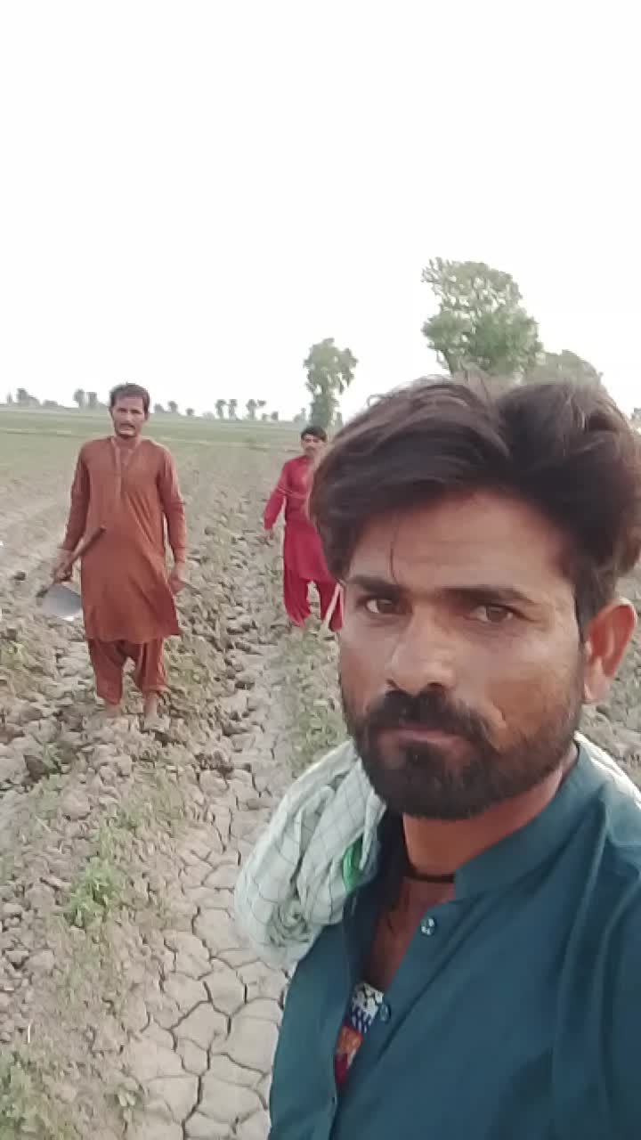 @Talib Sindhi