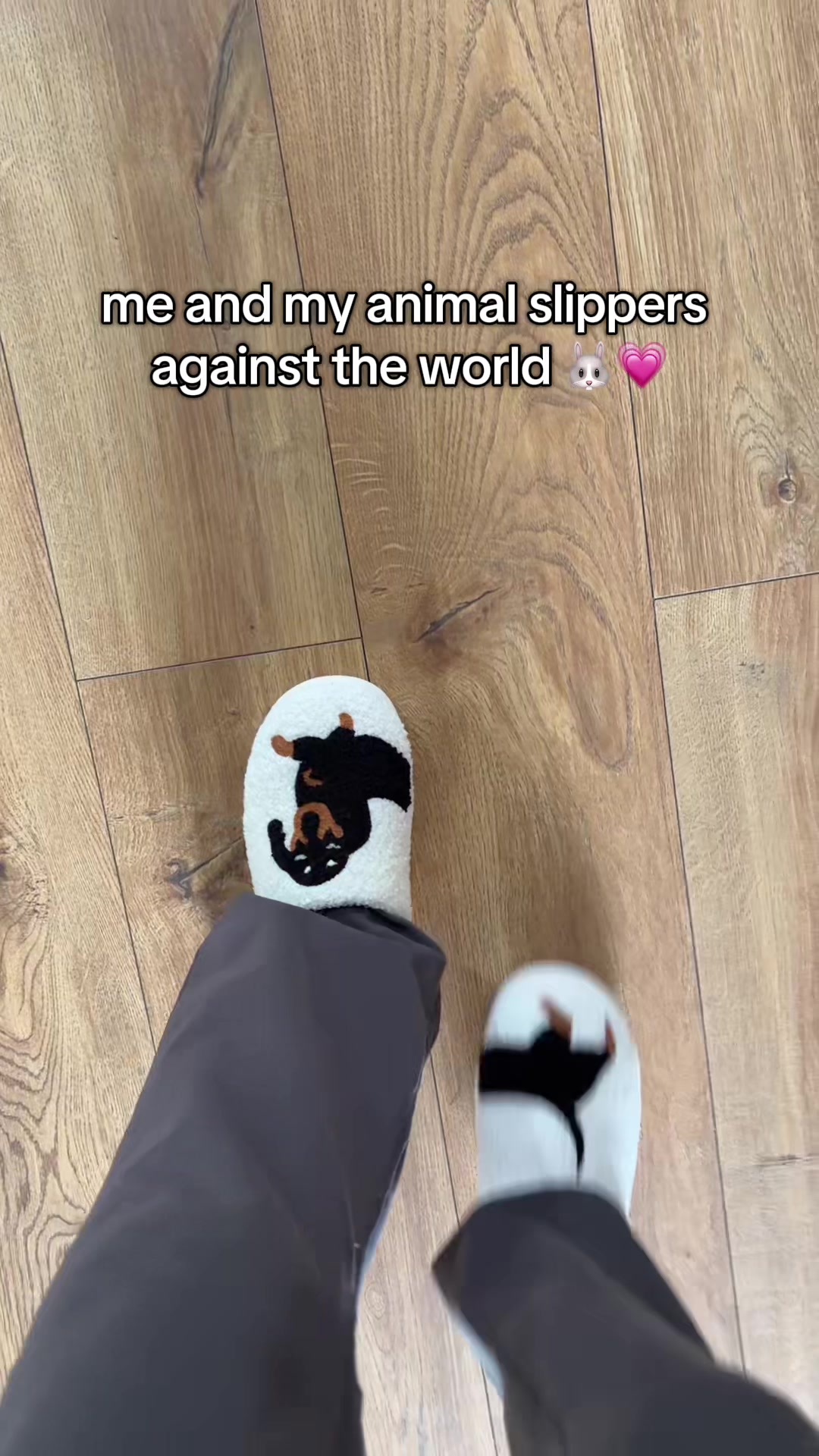 @Evie 💓