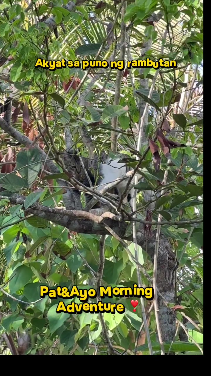 @️ྀིྀི ྀིྀི :)