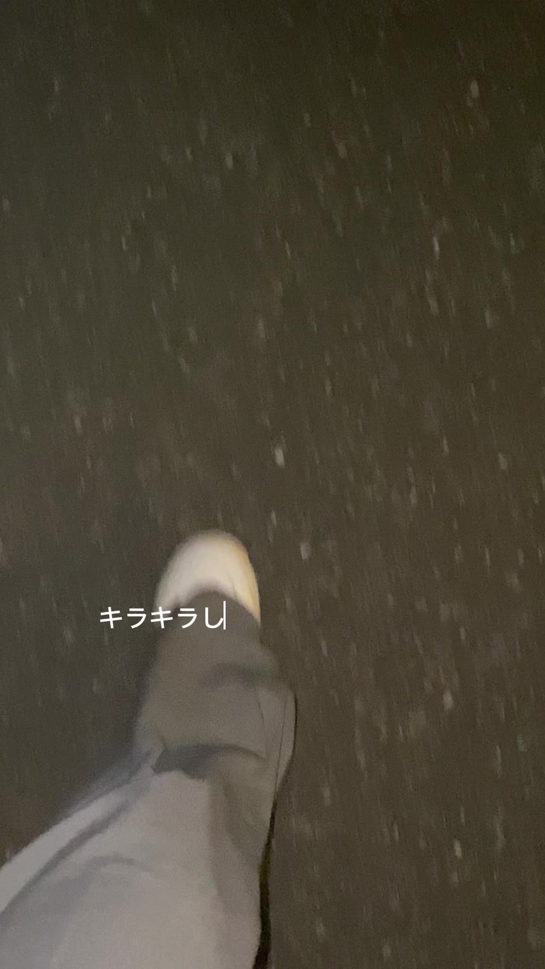 @ゆるい暮らしの記録 | 副業の途中