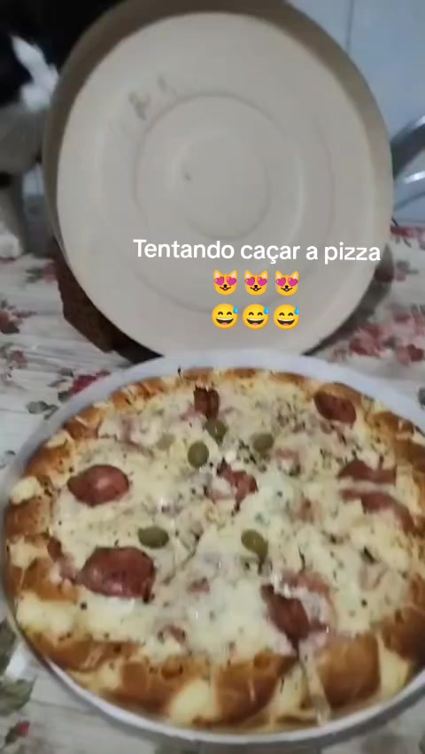 @Daiararn