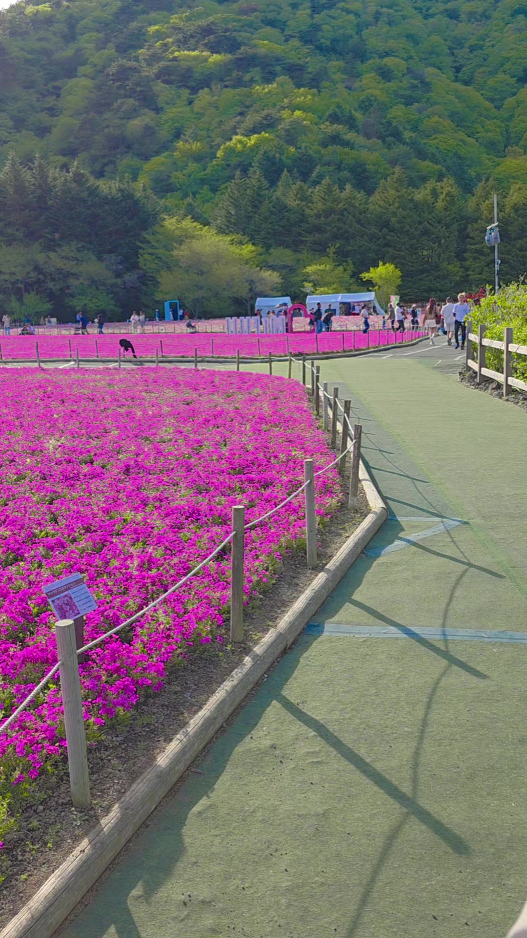 @đ¤Mahi___Tokyođ¤