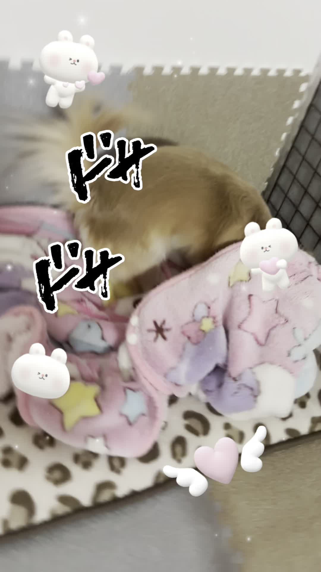 @伶 奈 💛