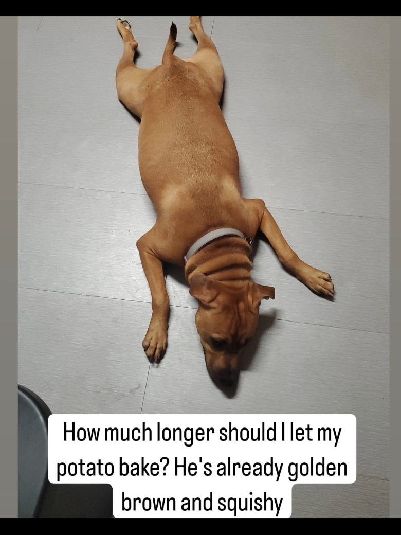 @Kane the friendliest Pit