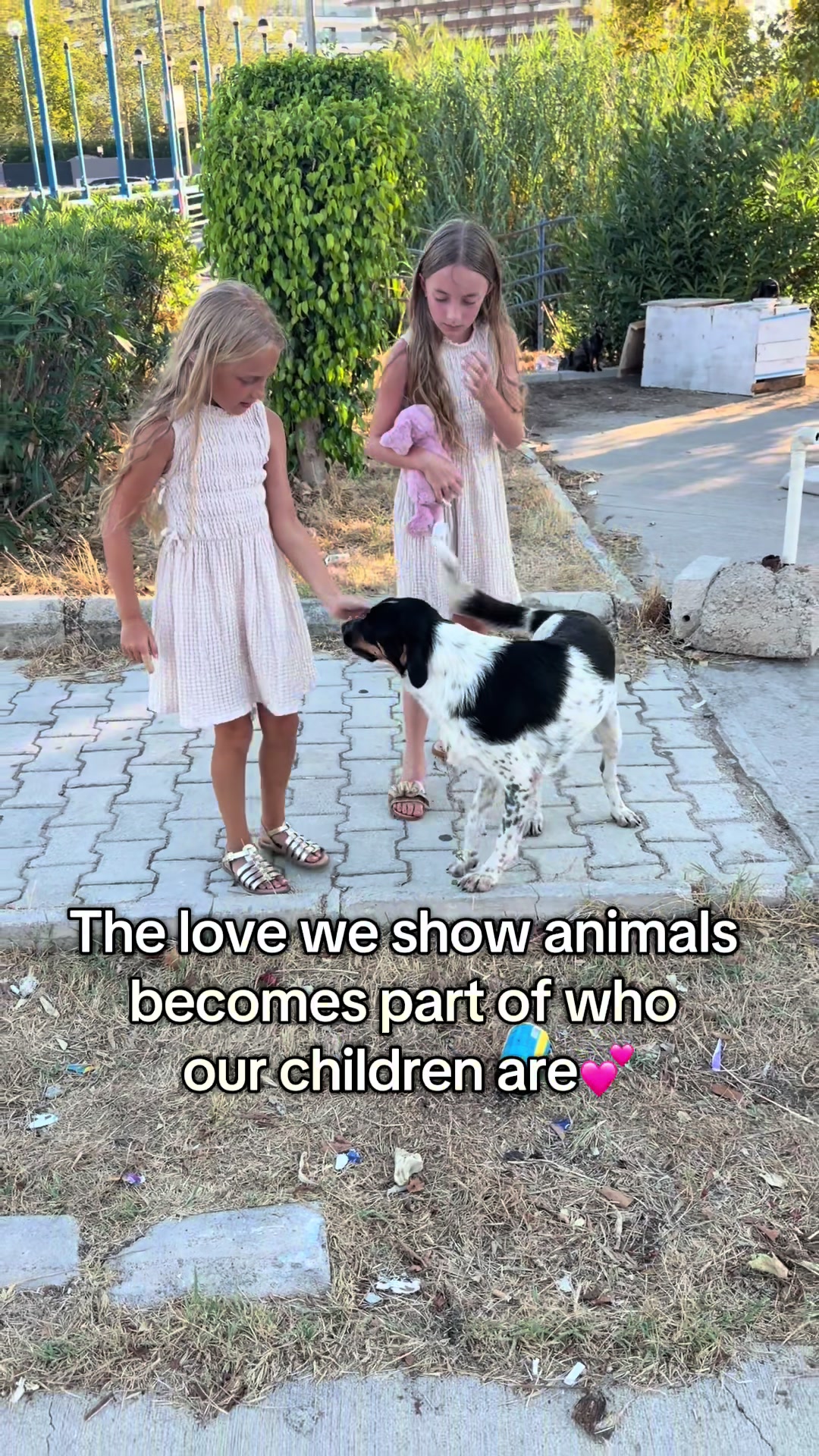 @Pawfect By Abbie