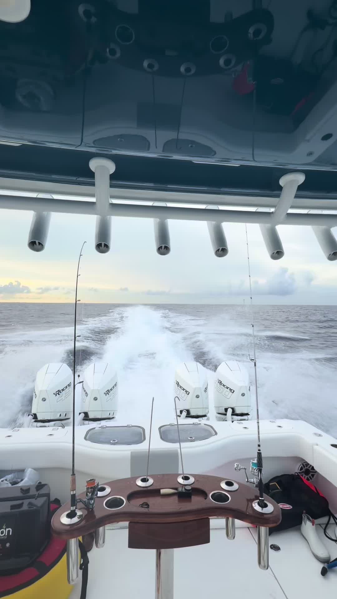 @Tommybahama_242_
