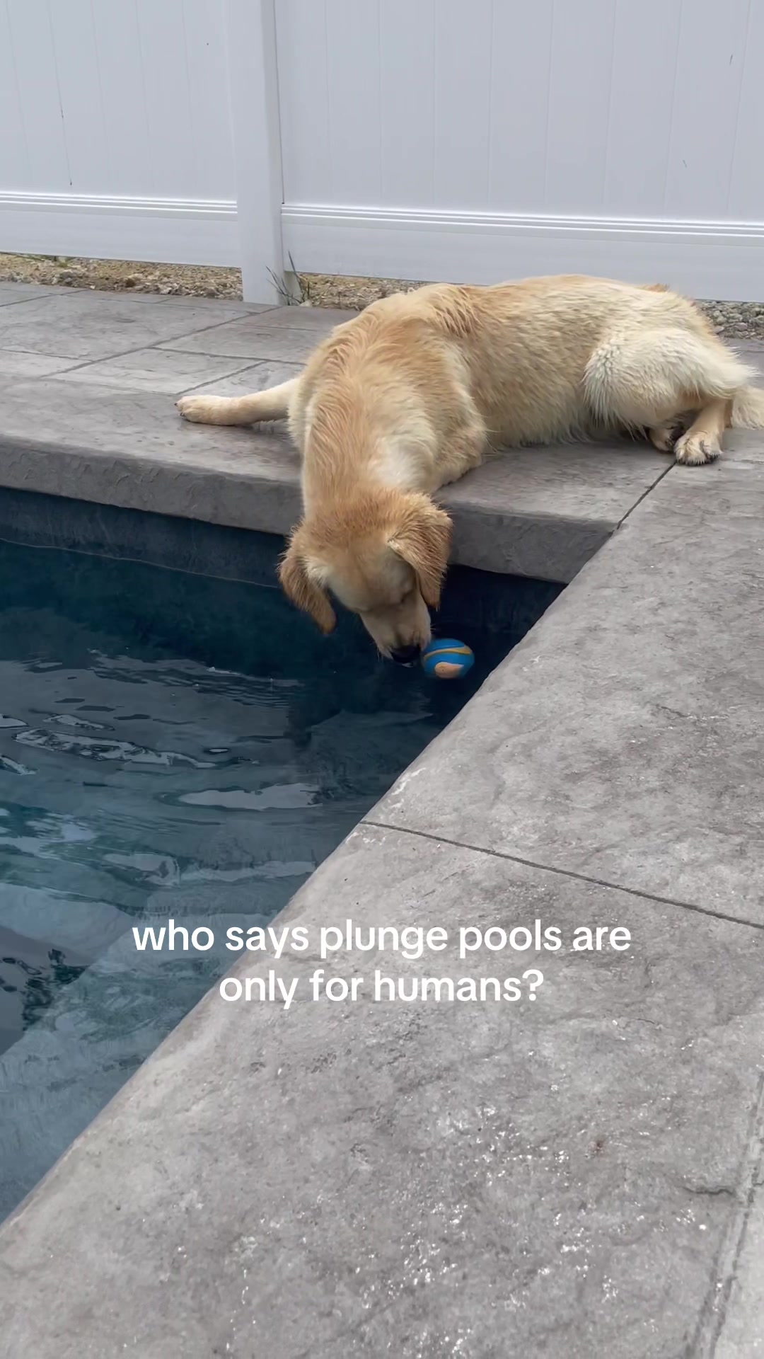 @Plunge Plus