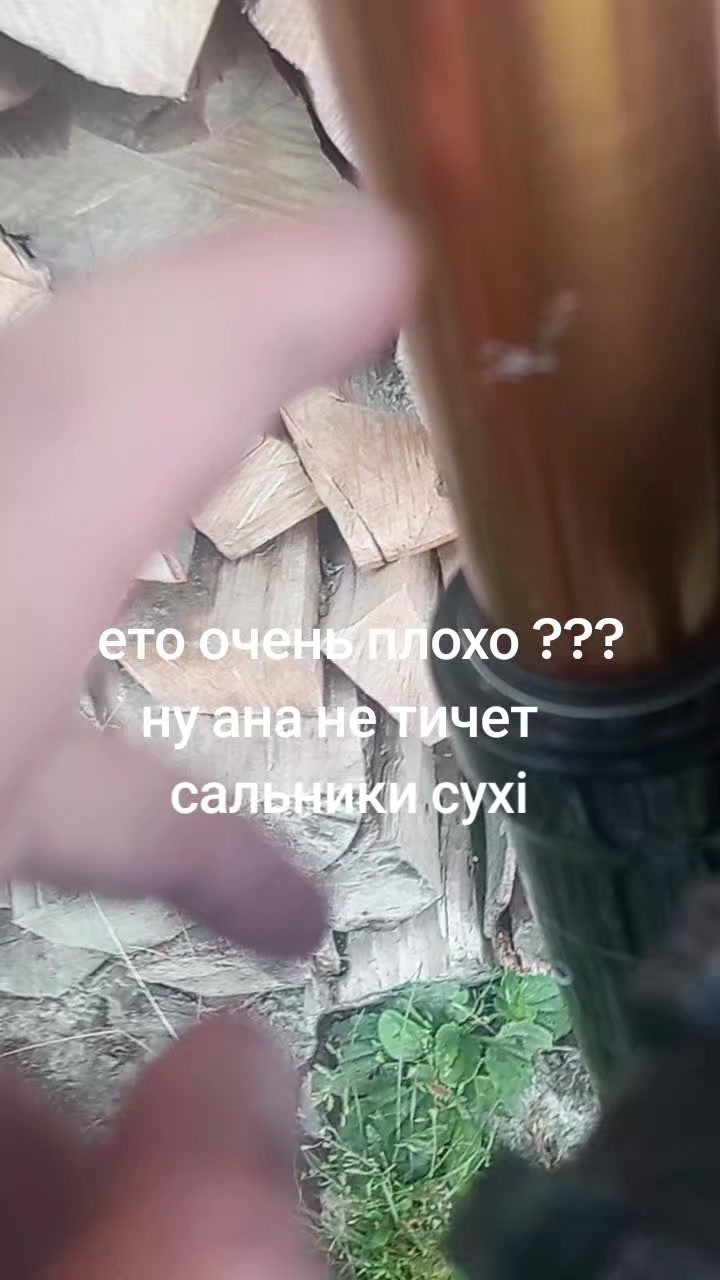 @kaya212💚