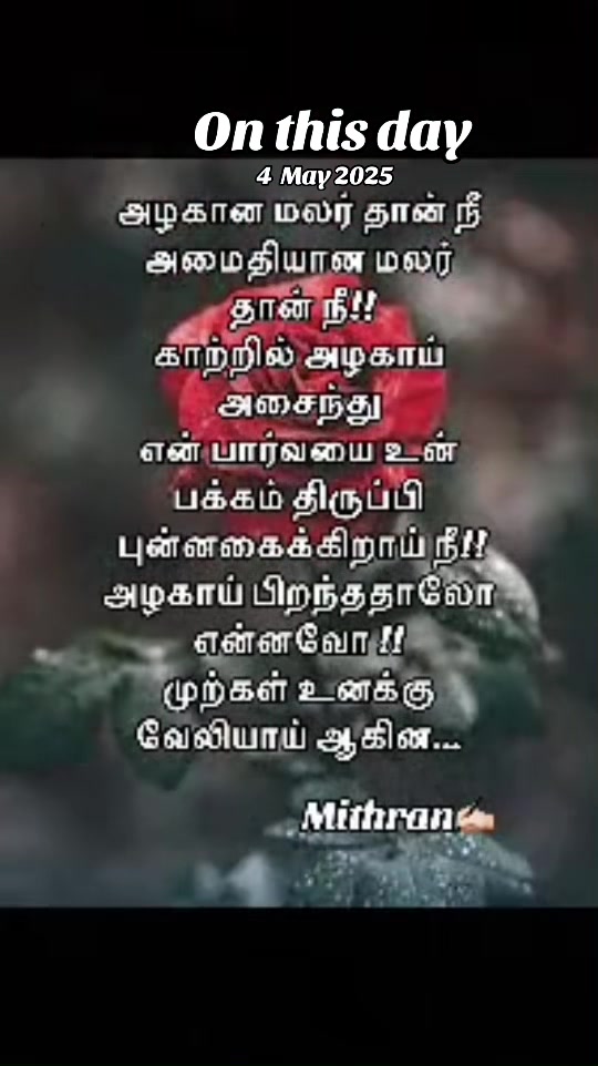 @ℝ𝔼𝕄𝕆_ 𝒜𝓂𝒷𝒾