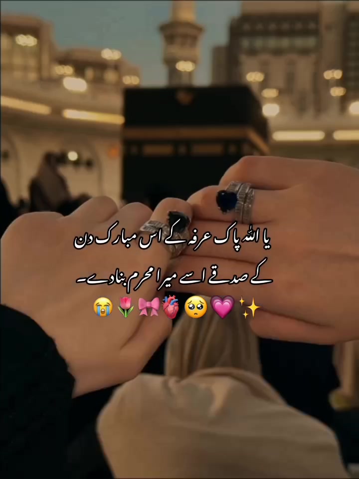 @ᥫ᭡𓆩𝑲𝒊𝒏𝒛𝒖𝒖𓆪⏤͟͟͞͞🐼⃟🌷˚₊