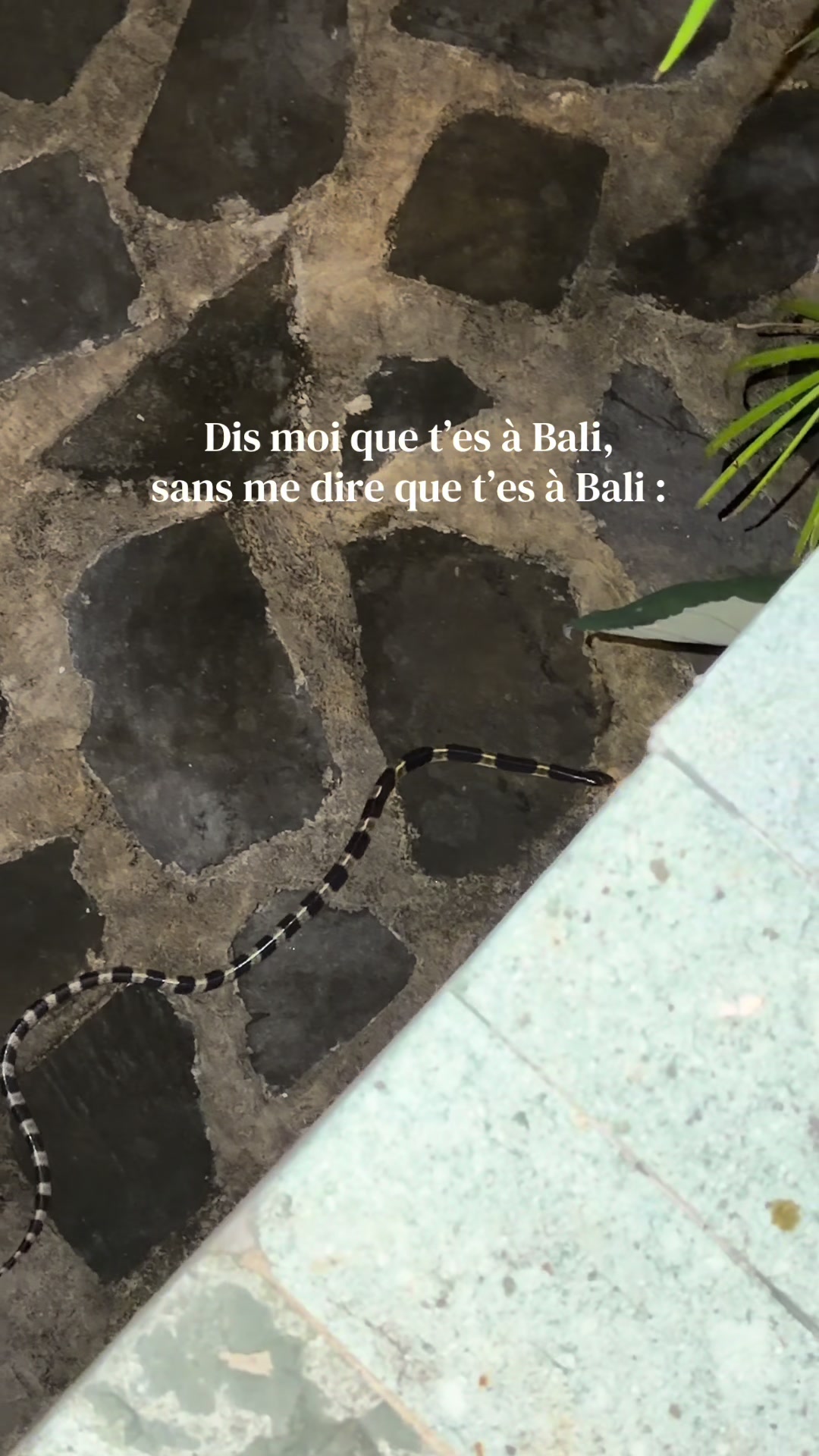 @Diana autour du monde