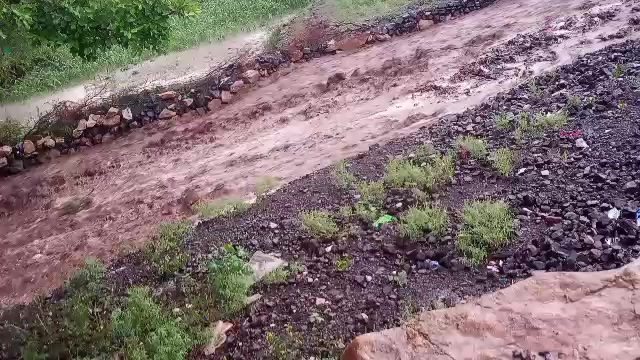 @سعيد نظير العزعزي