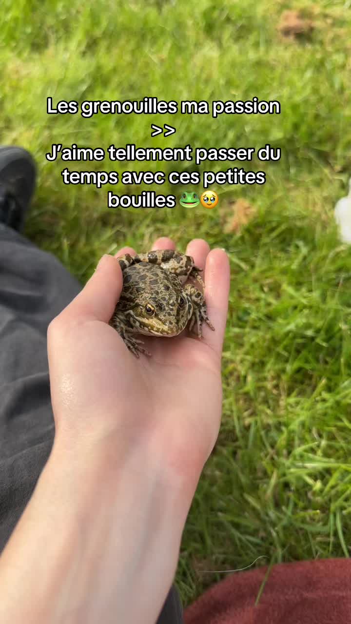 @Petitmoment