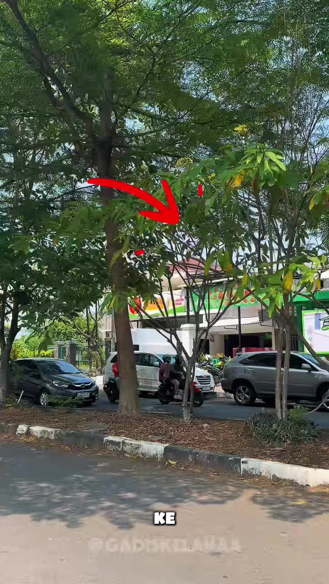 @Gadis kelana || Kelana rasa