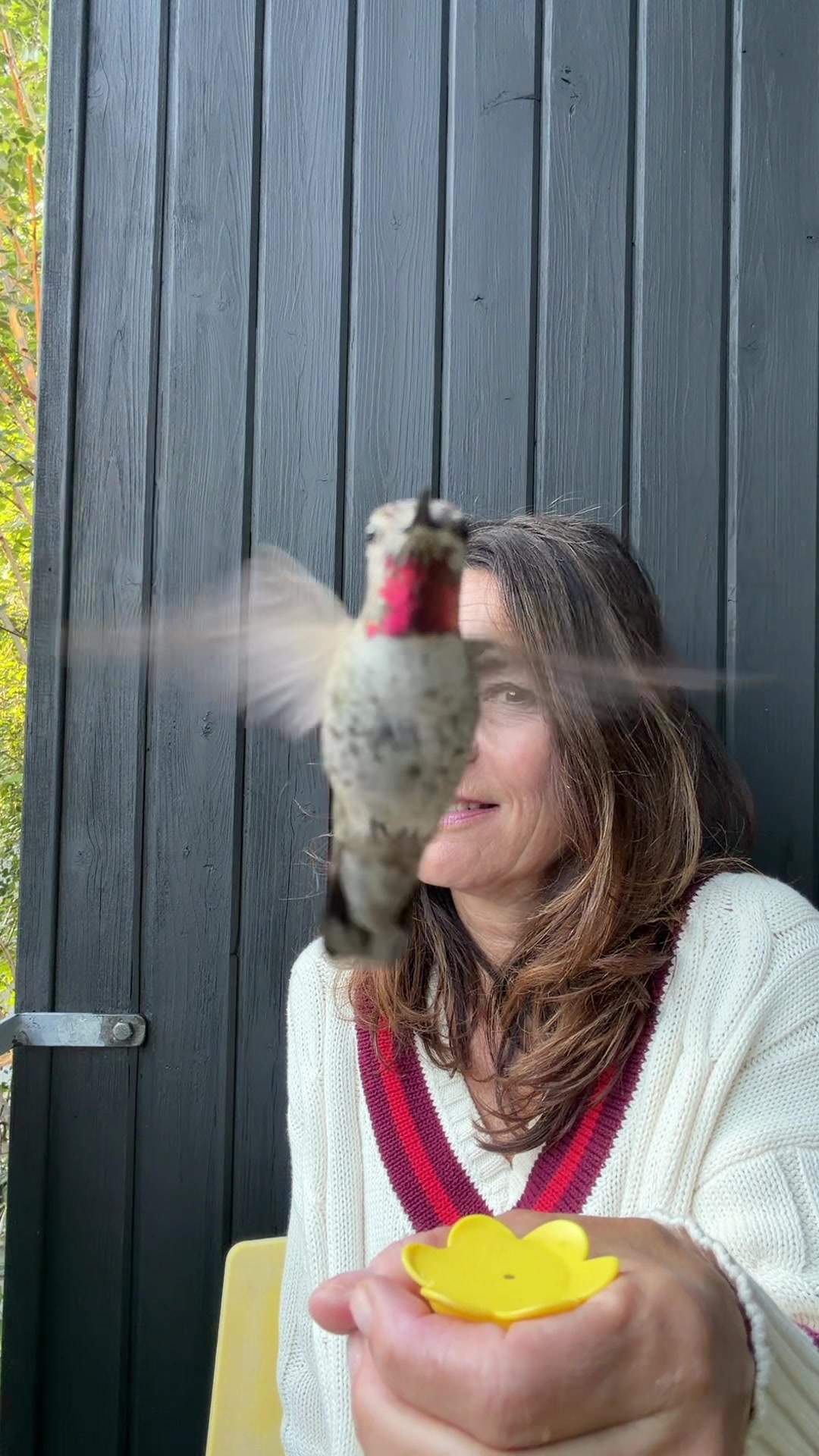 @Hummingbirdcrazy