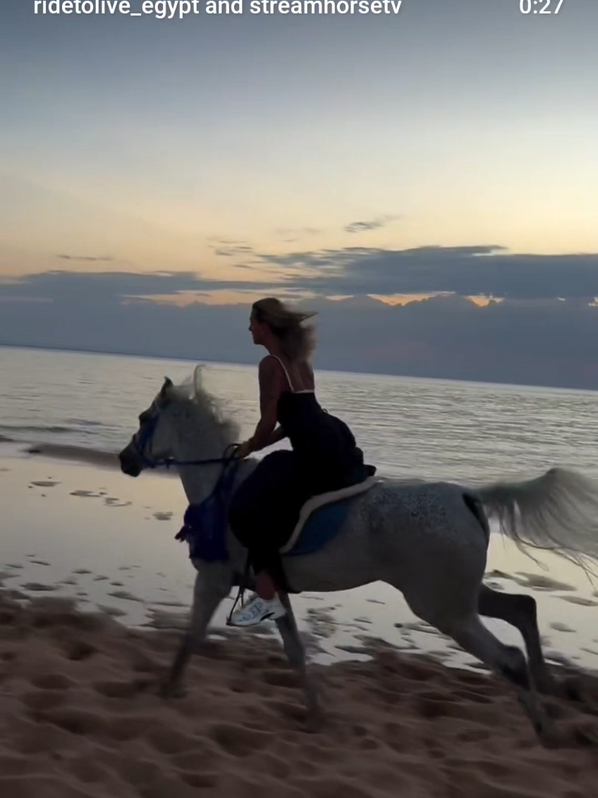 @streamhorse