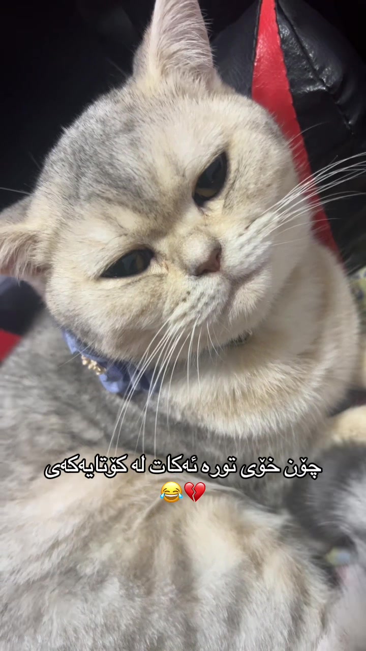 @R&rsquo;&rsquo;🌞♾️