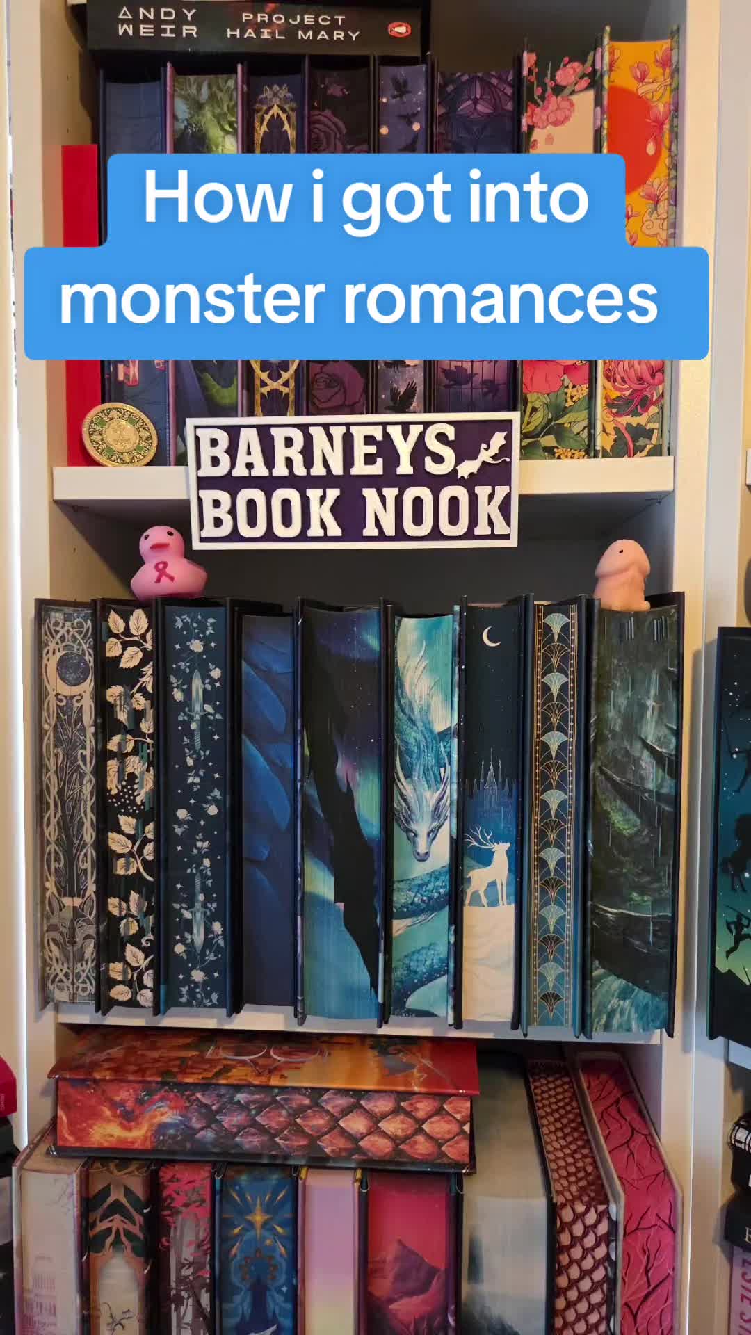 @Barney Bookworm 📖
