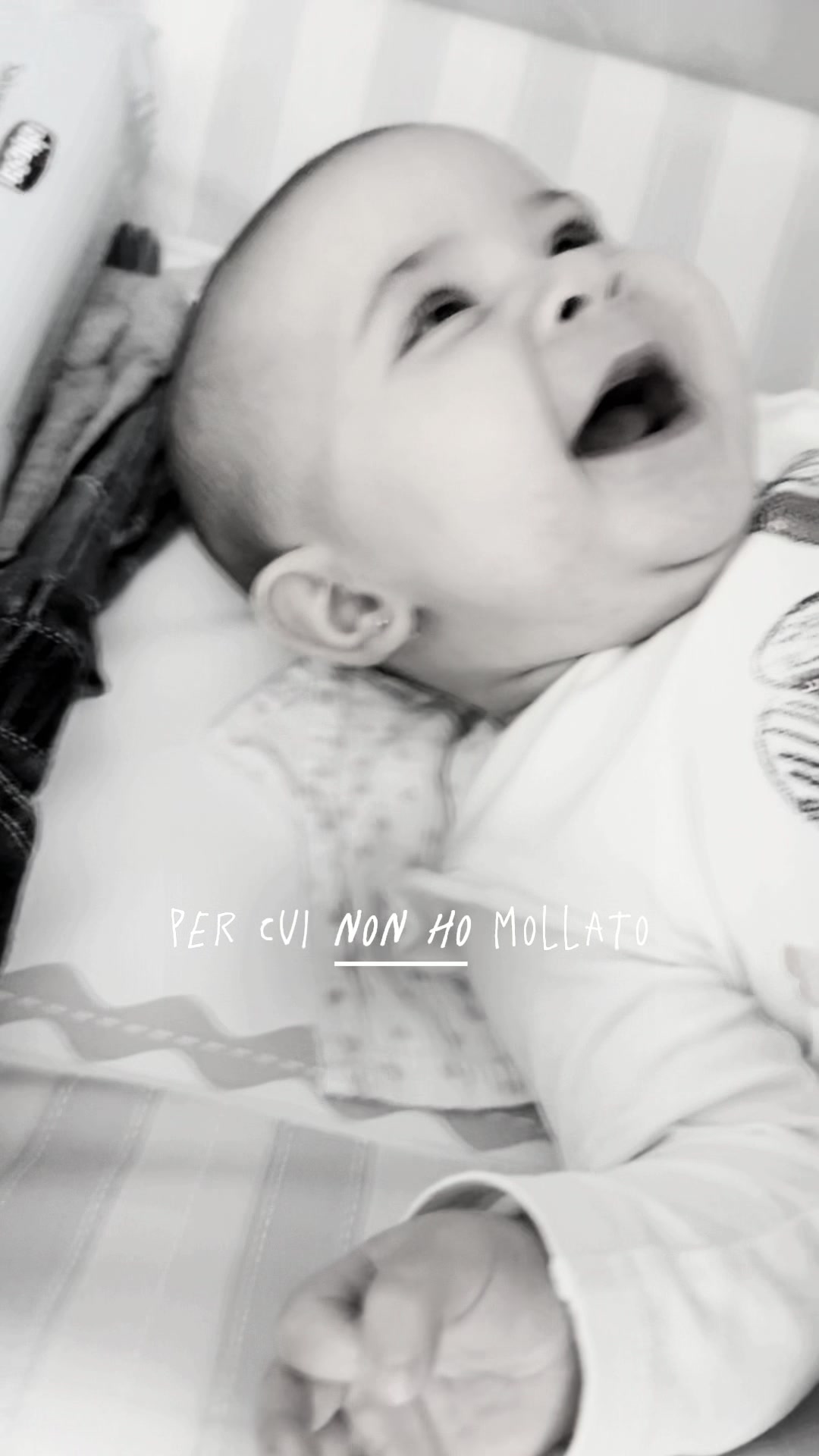 @Carmen Toro