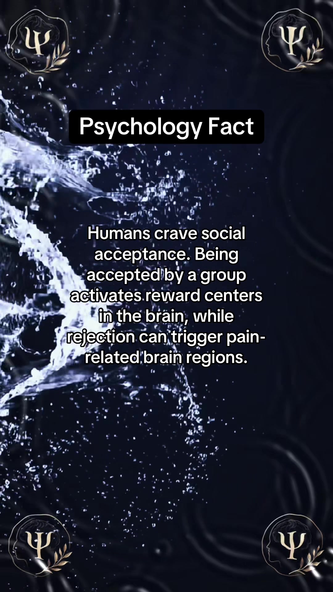 @MindGlitch