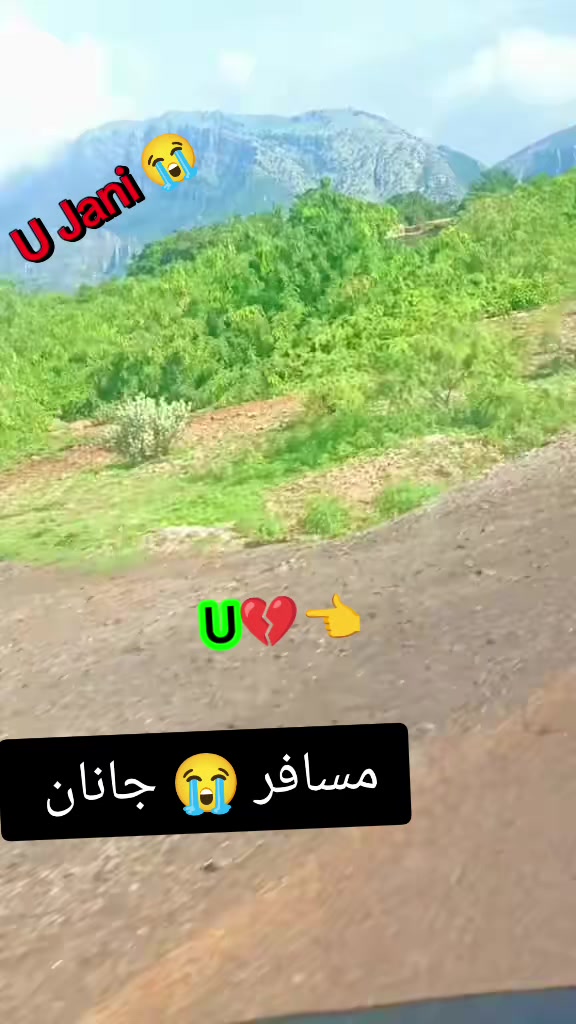 @ᴿᴬᴮᴵᴬ◉➳☙ ᴶᴬᴺᴵდ❦