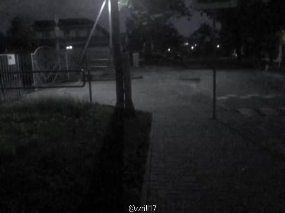 @zzrill17🐈&zwj;⬛