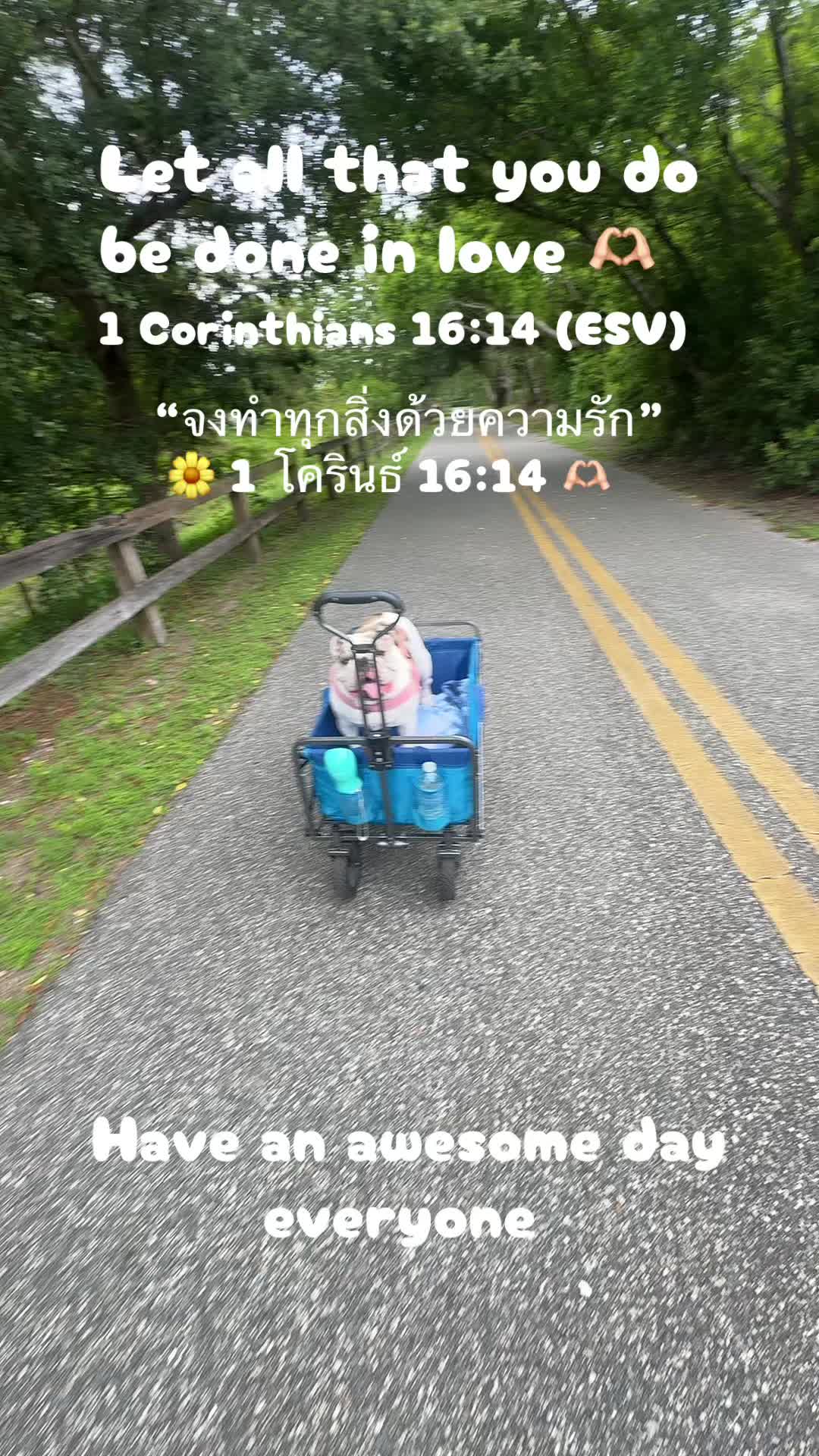 @followjesuswonwon