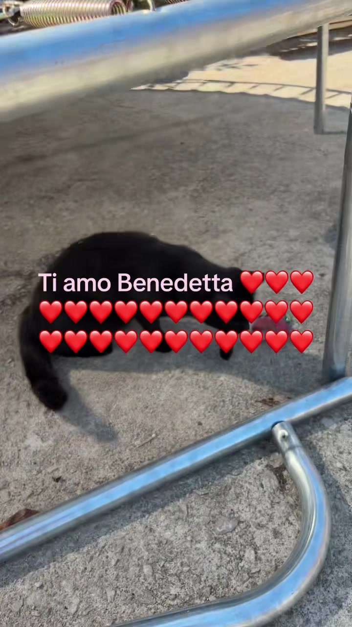 @Giuseppe Venditti