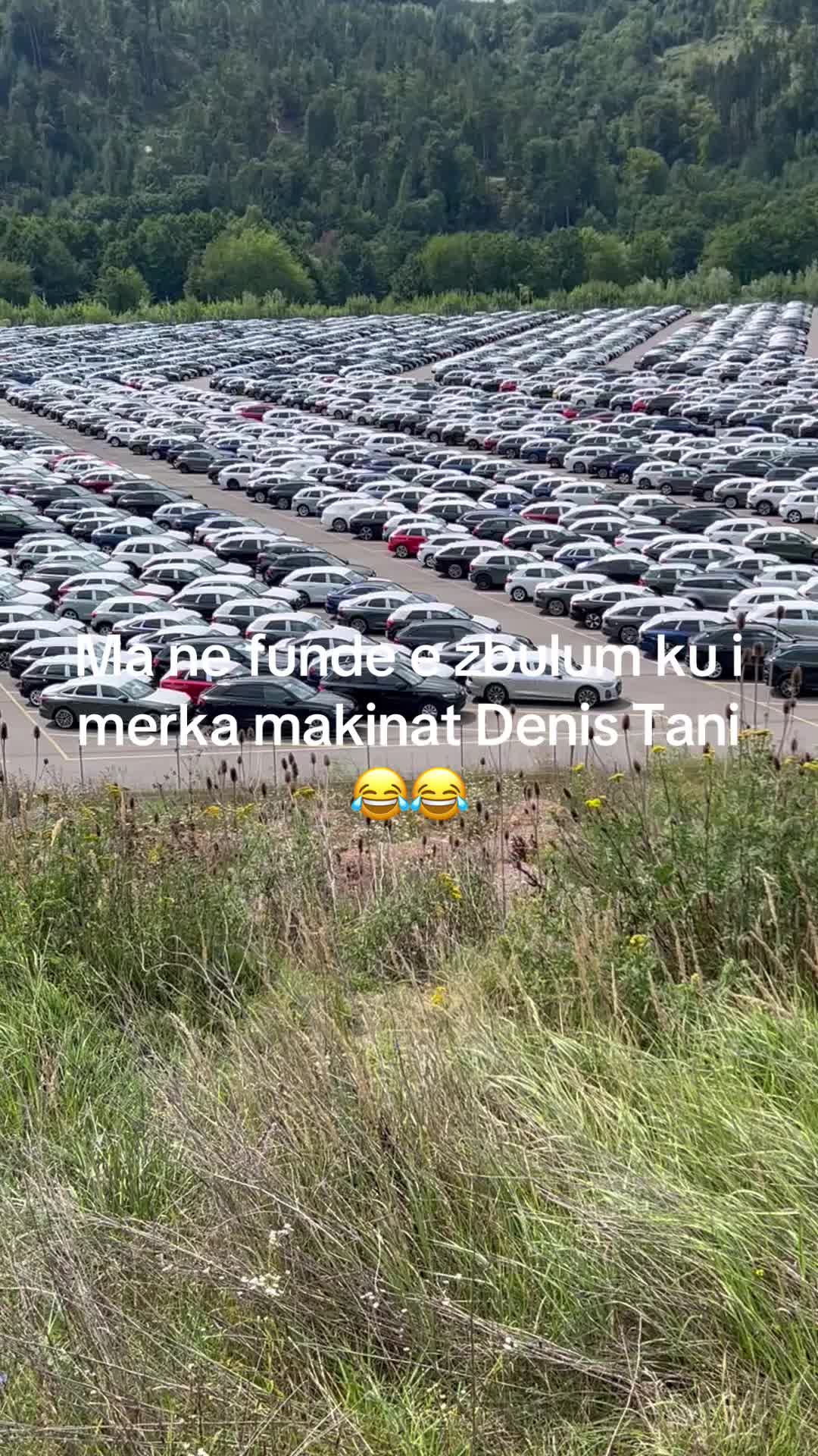 @Tani Koleci