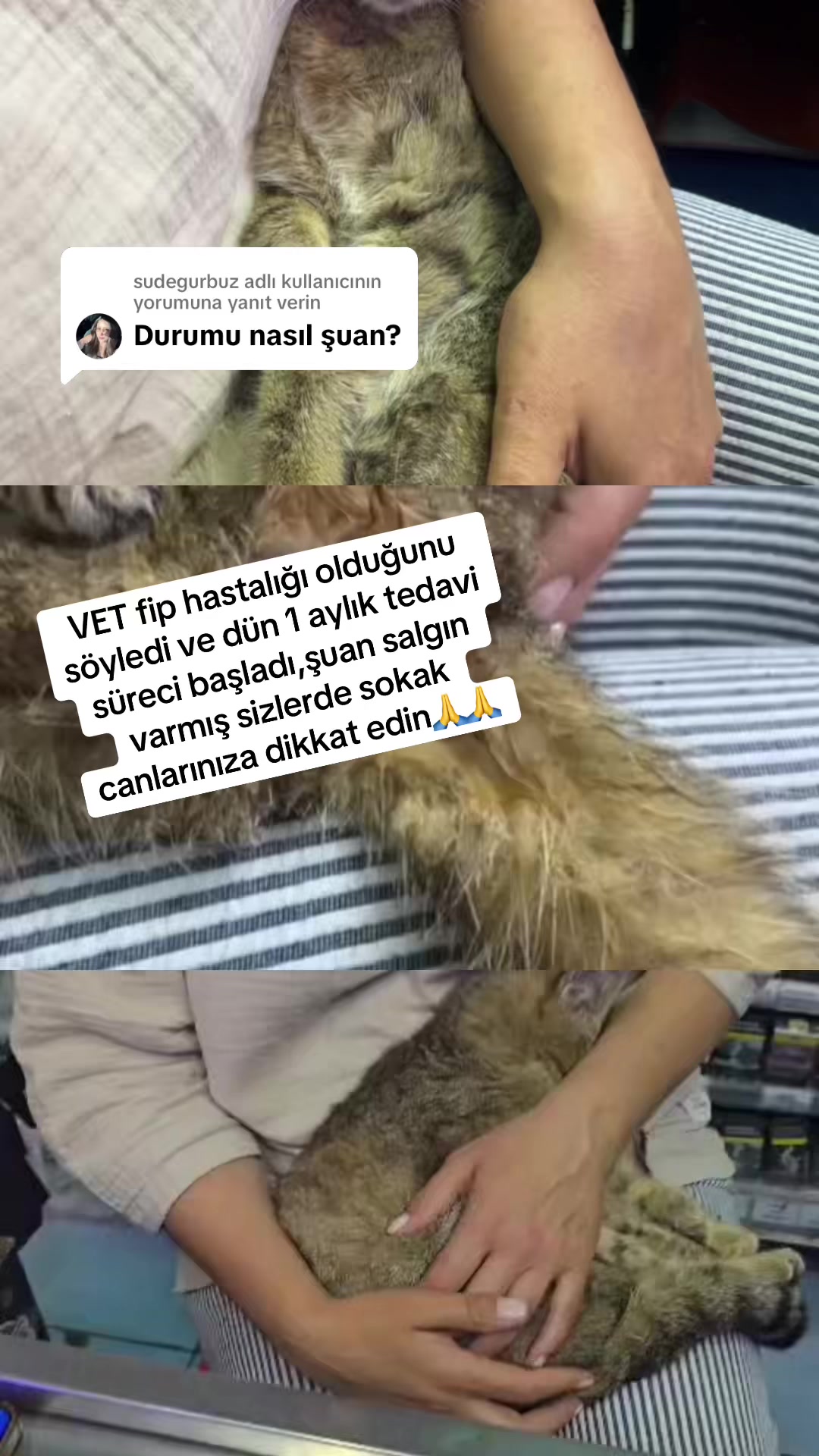 @Emine Yılmaz