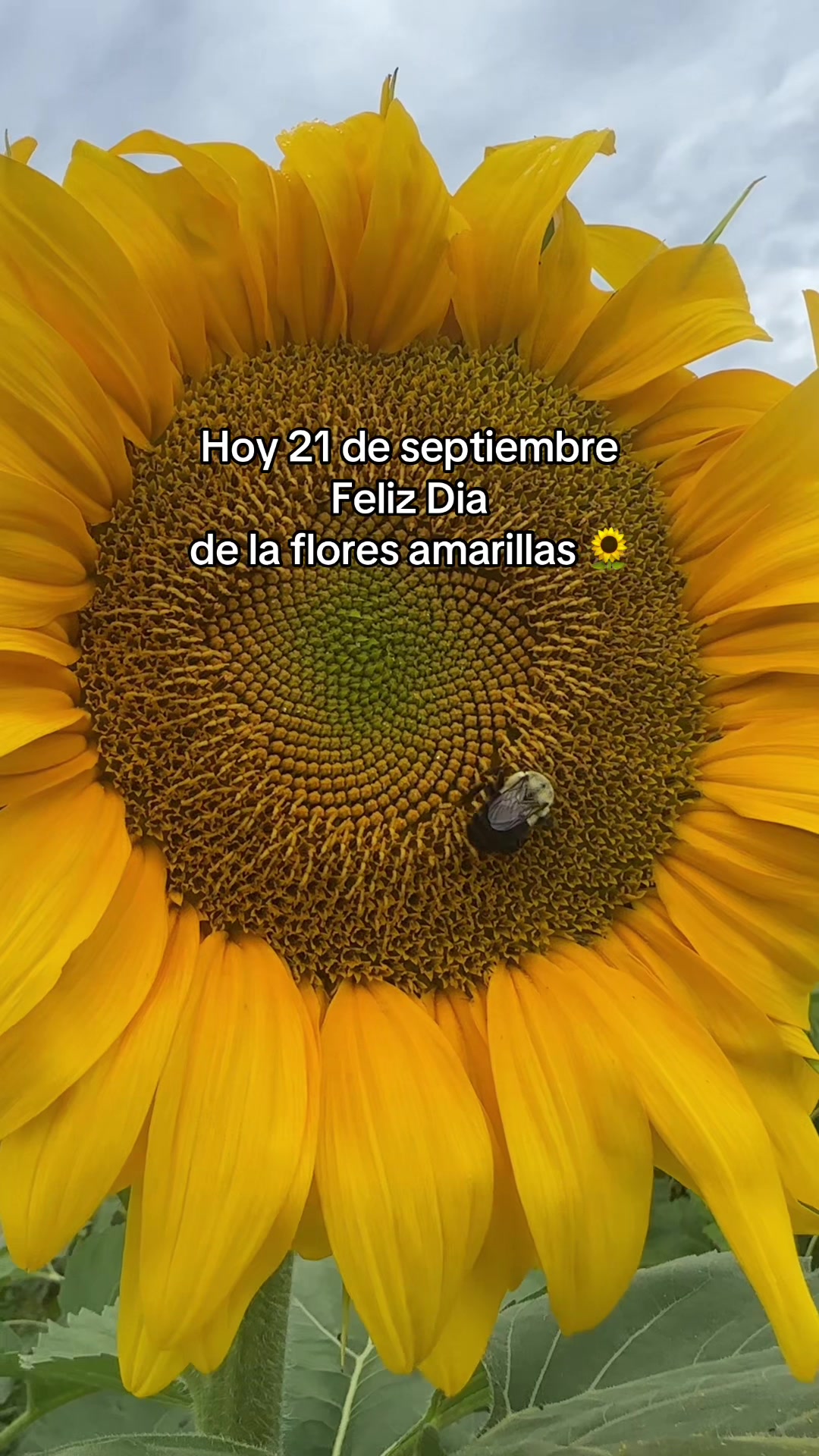 @Mayra Pérez ♥️🫶