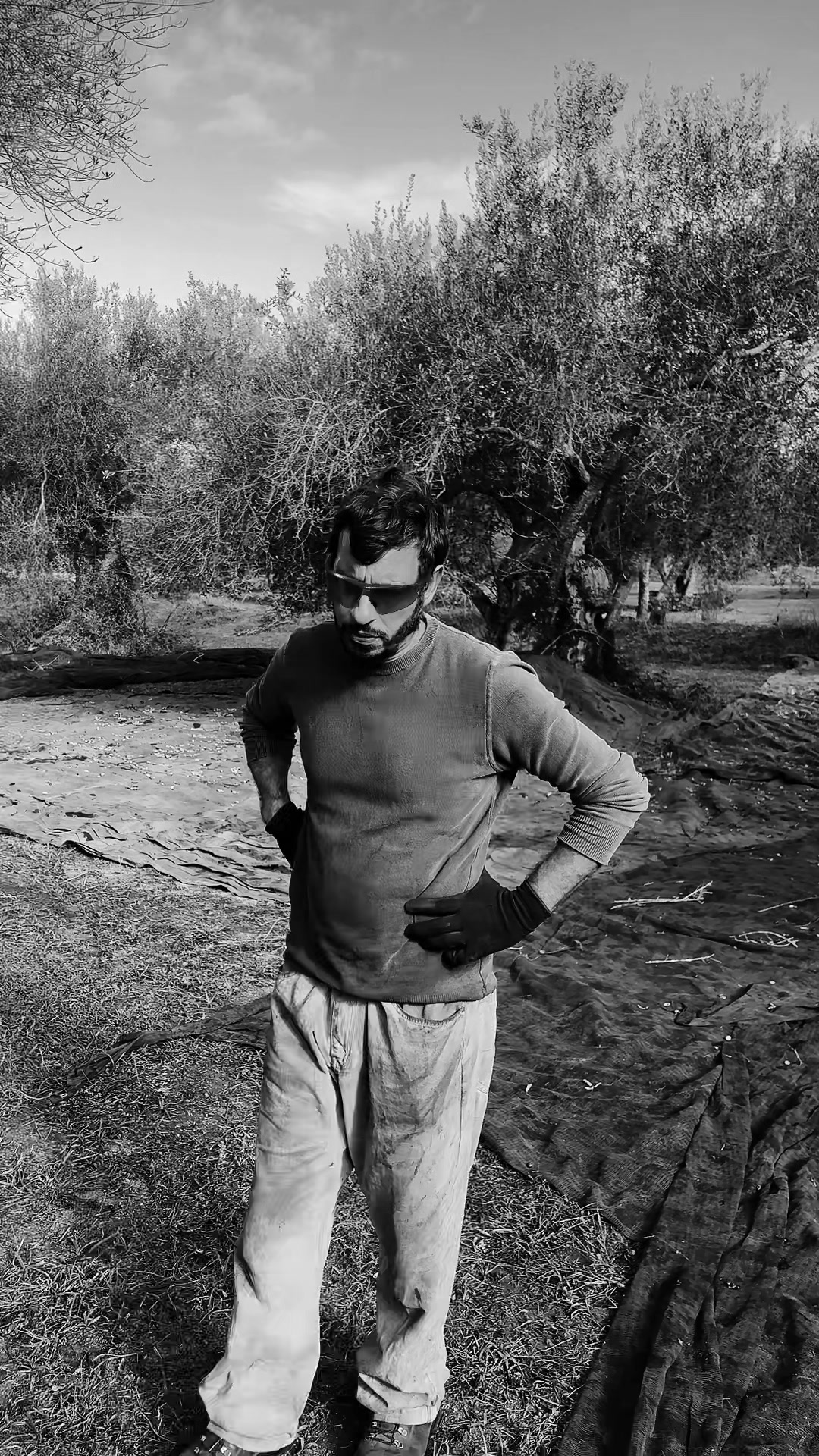 @Giuliano Nardo
