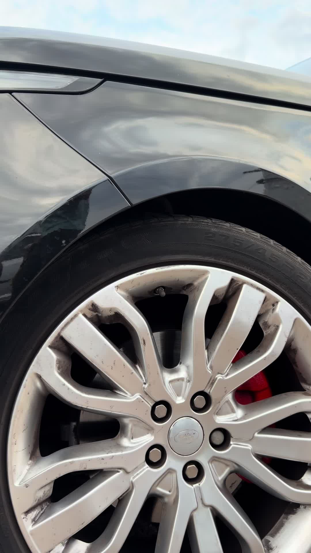 @Singhwrap&Tint