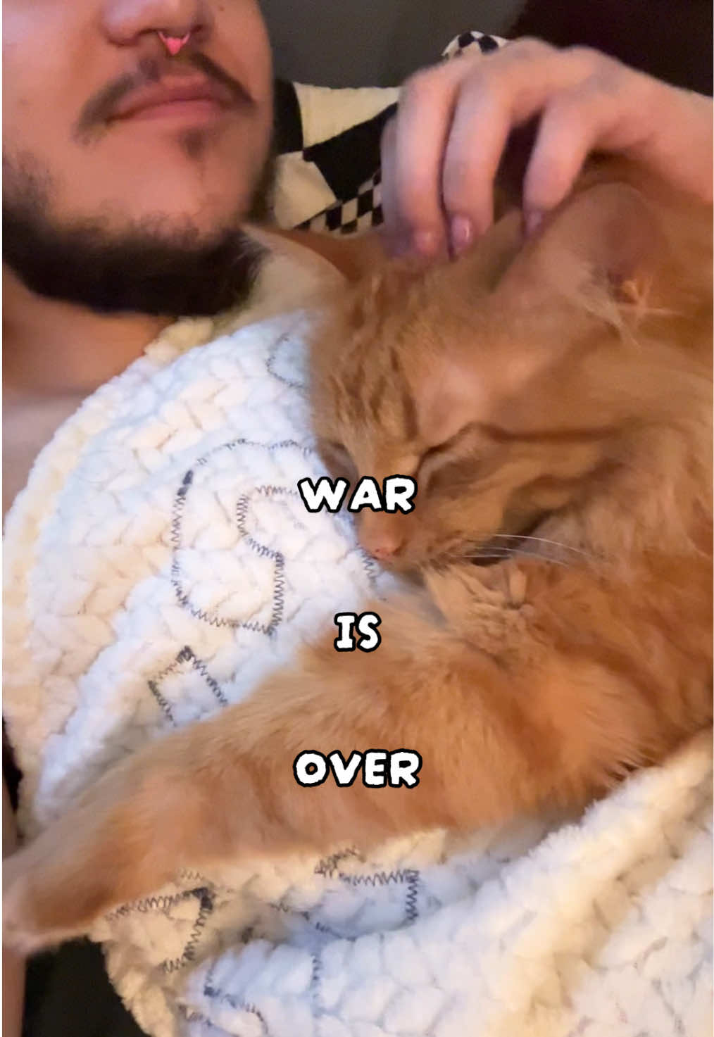 @dipper, jinx, & boogie