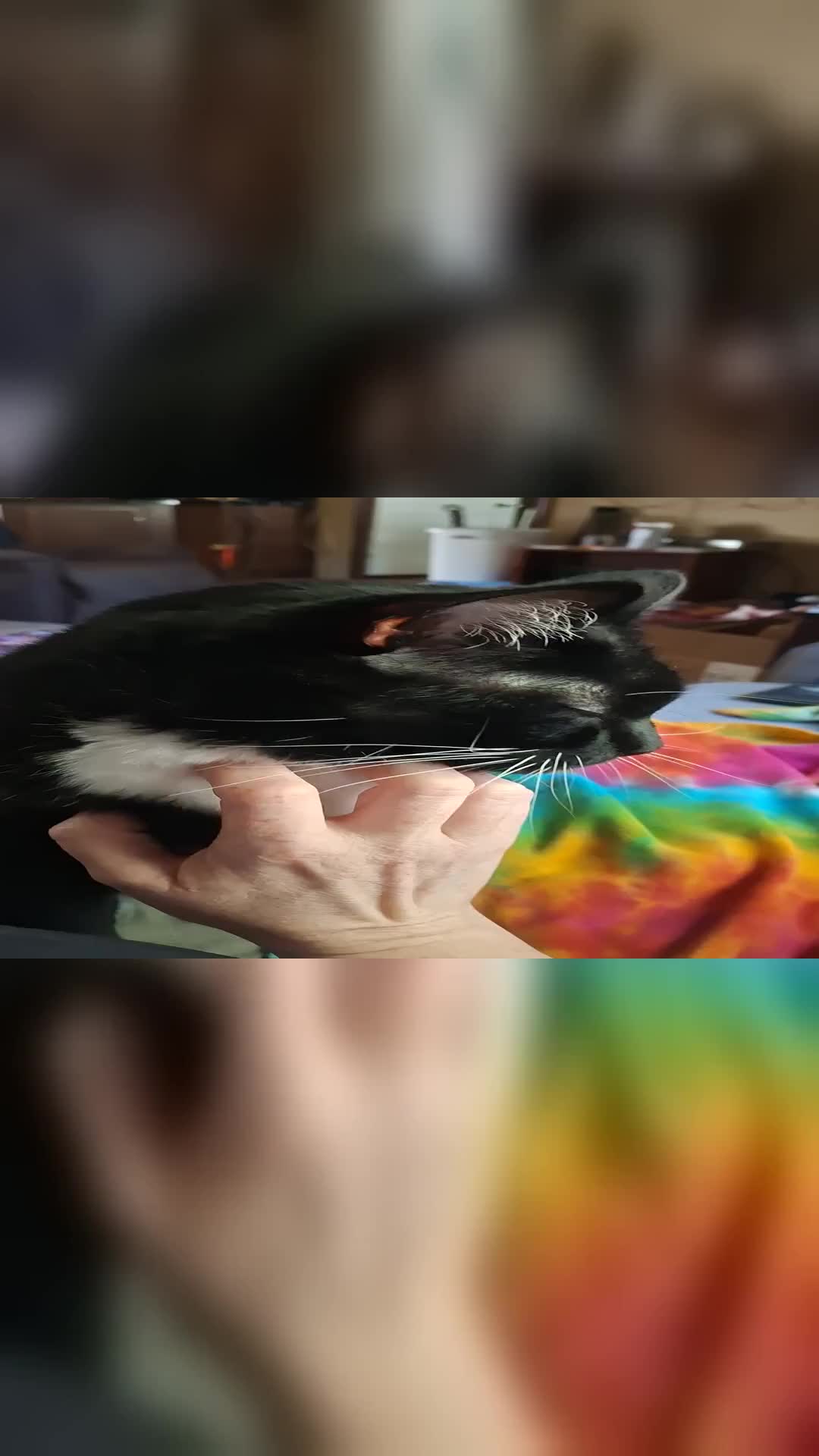 @CowsmackerTalks ๐๐ฝ๐ฌ