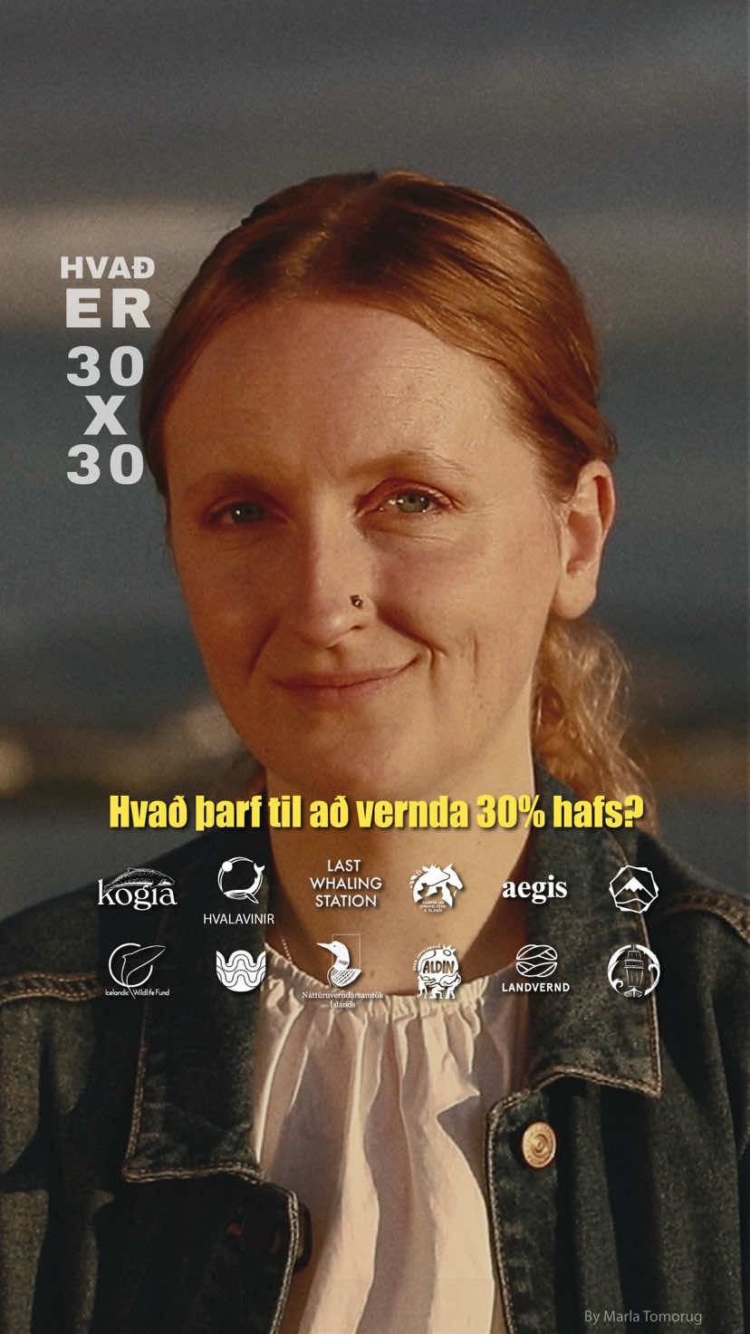 @Hvalavinir