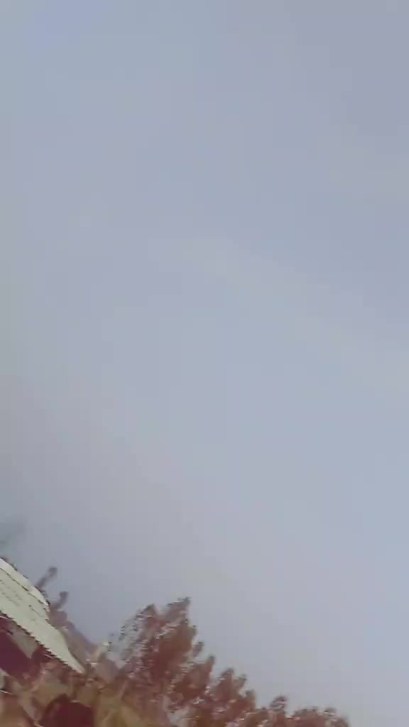@Angryburd 🕊️
