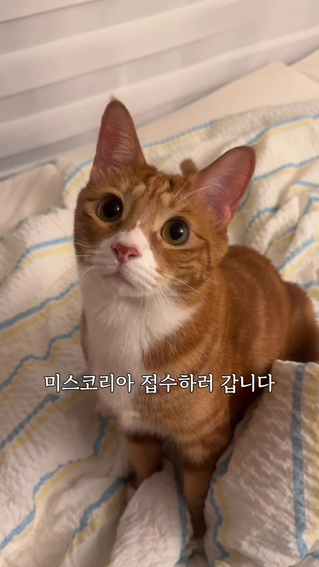 @뮤춘삼
