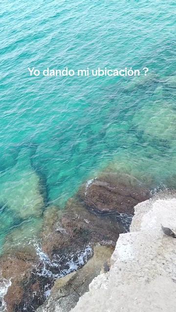 @🧢🎭Greysi Aguilar🫡🍀💜👿🖤