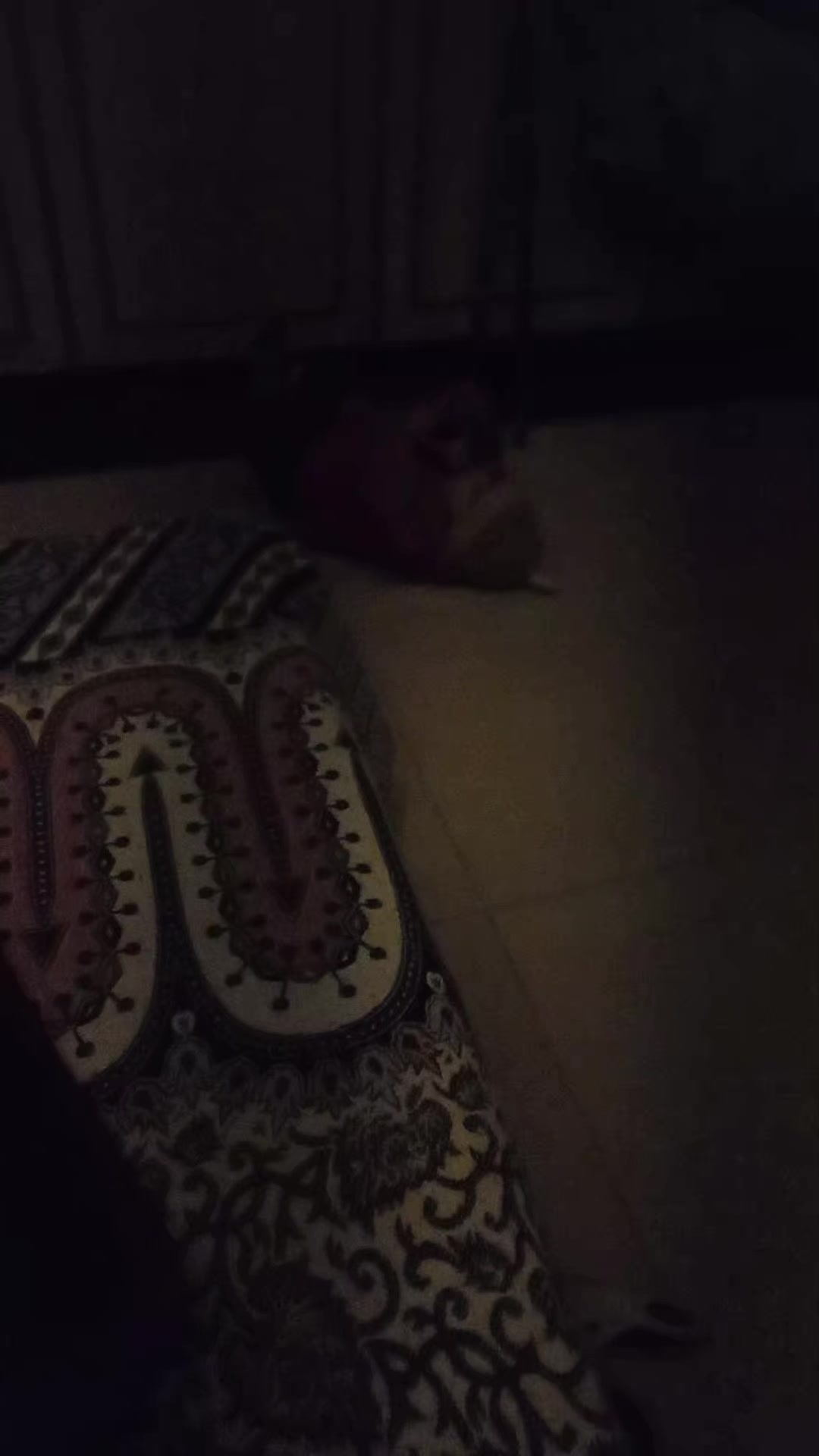 @𝝖𝗻𝗨 𝗩𝐥𝗢𝗴 🌺🌺