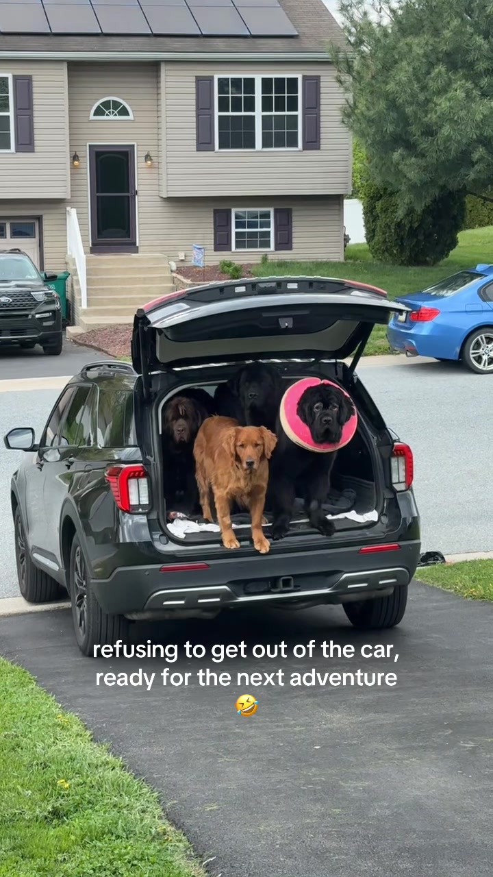 @OluNewfs