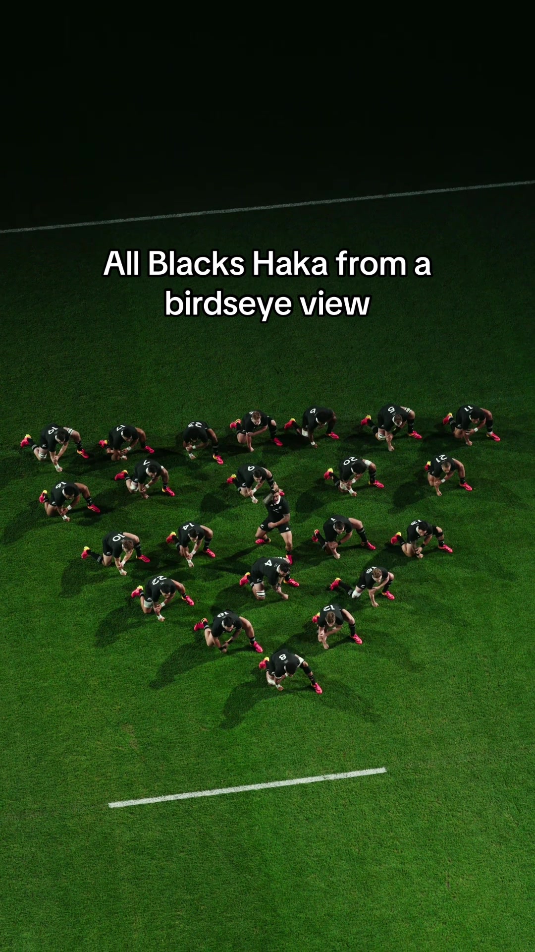 @AllBlacks