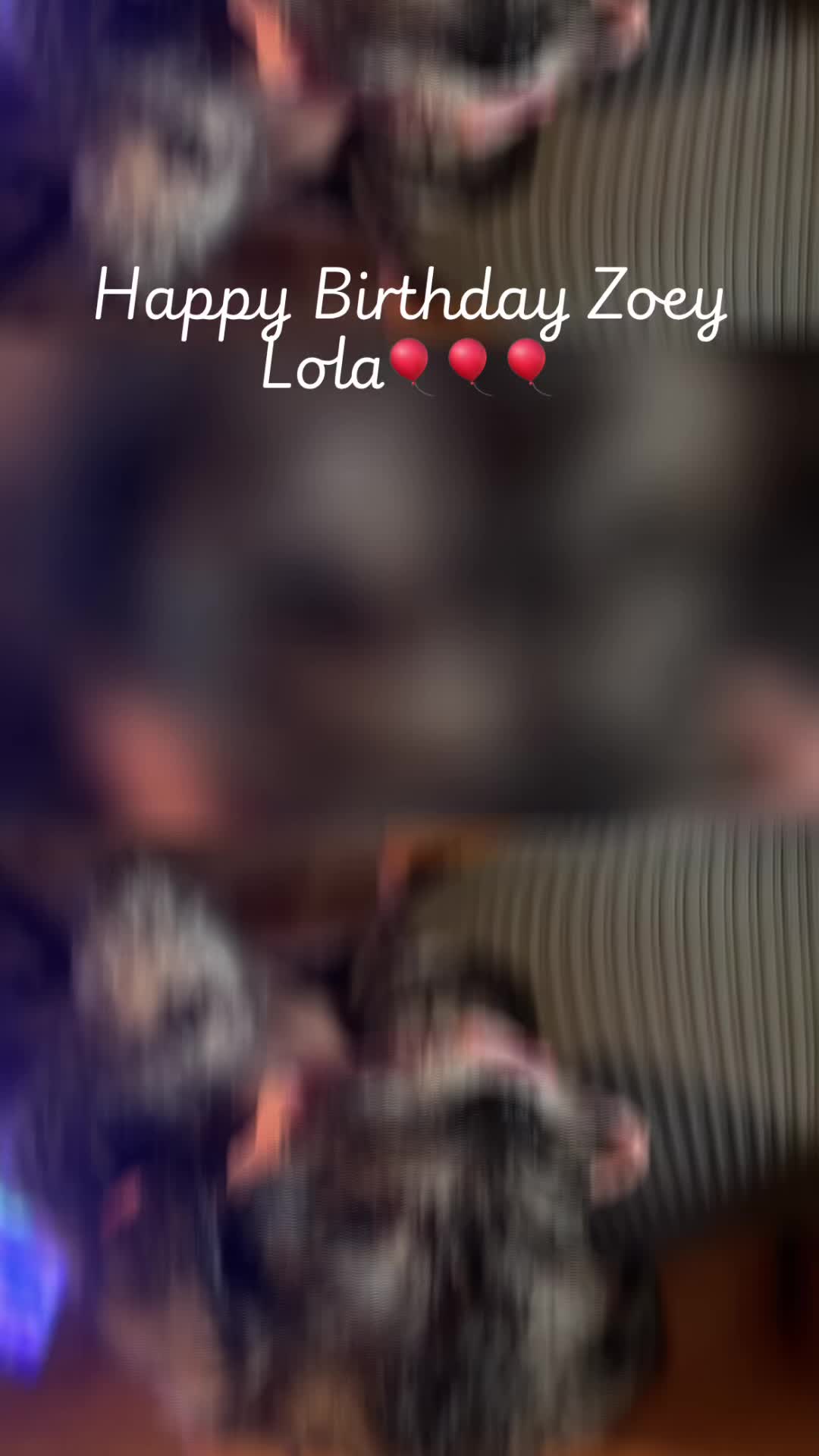 @MsCocoCoco