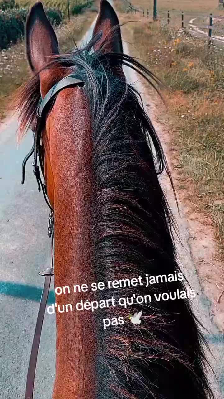 @Marie morinet