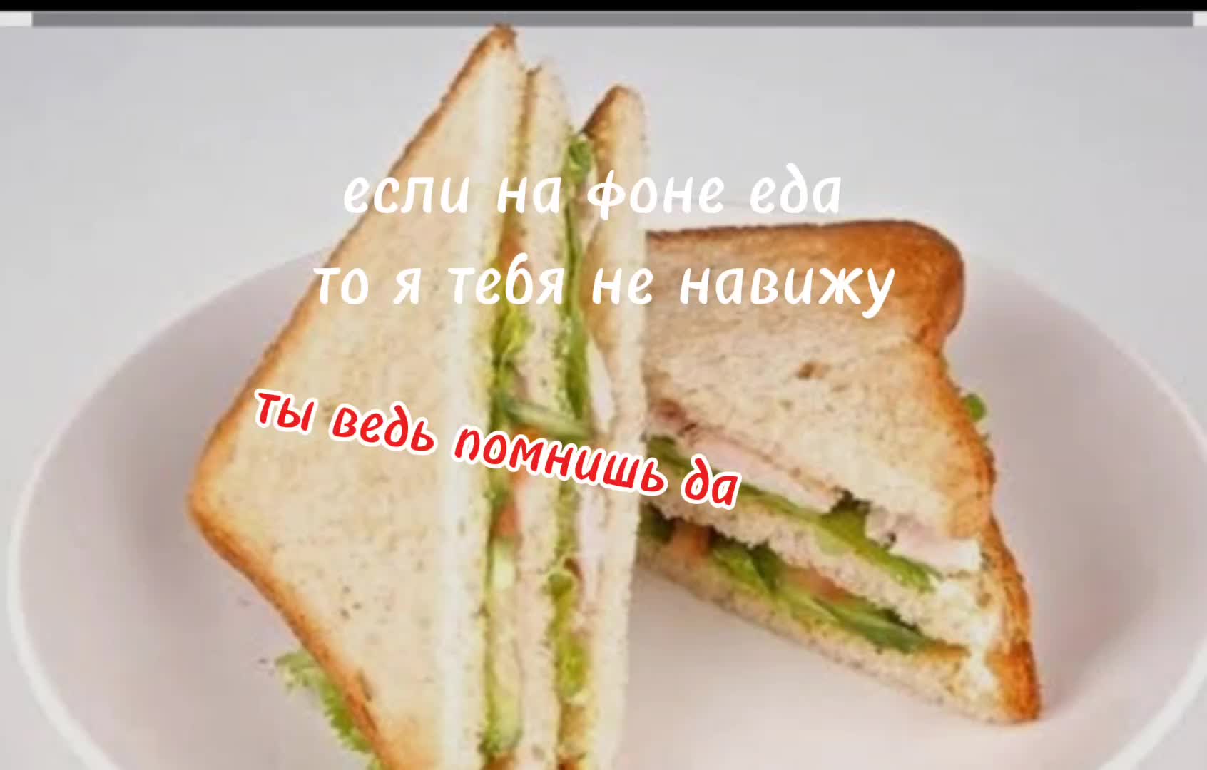 @🩶Radjix $🩶