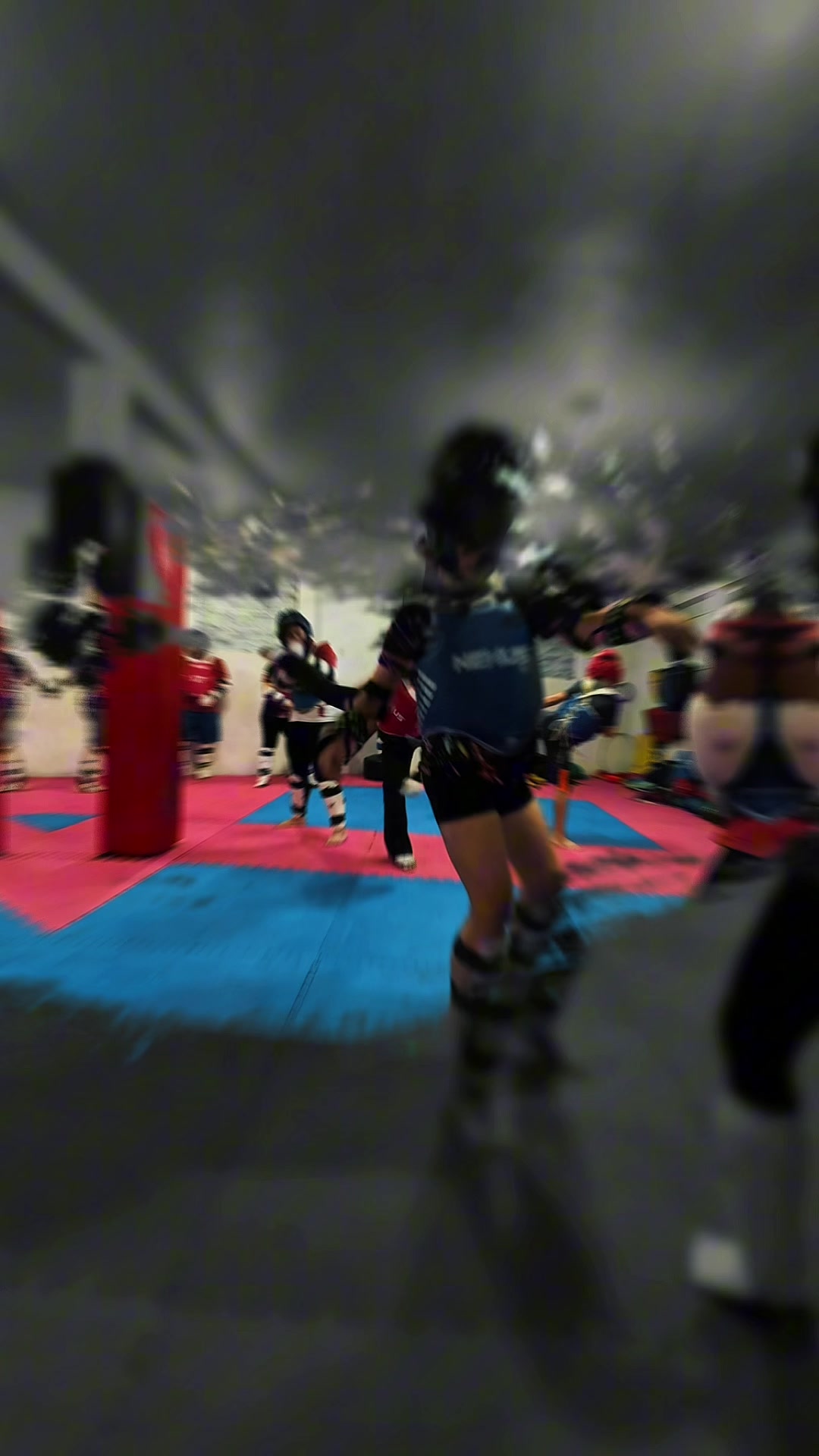 @taekwondolionsteam