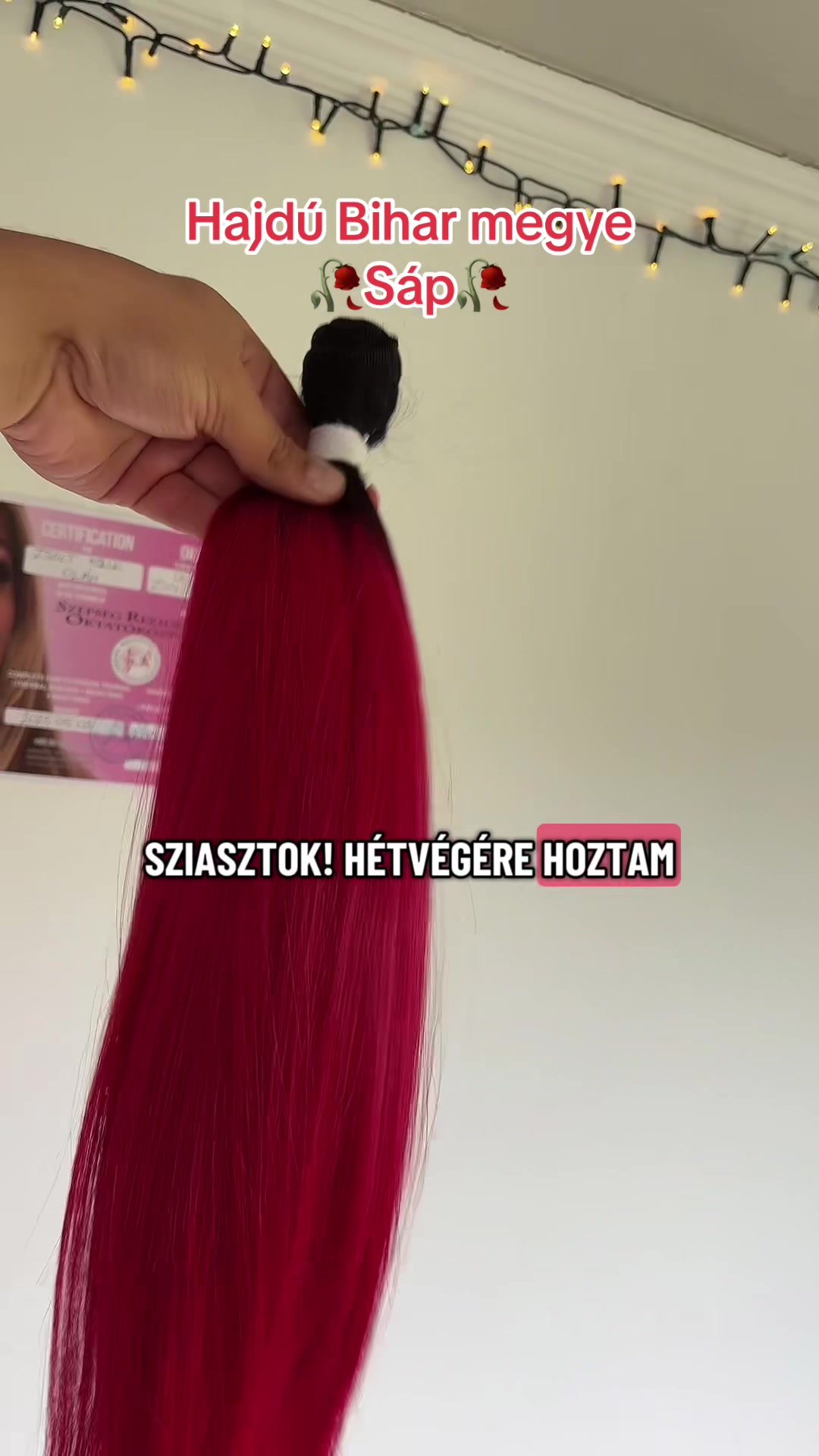 @zsoleszito97