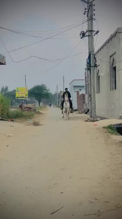 @majid Ƙàțàřîŷå