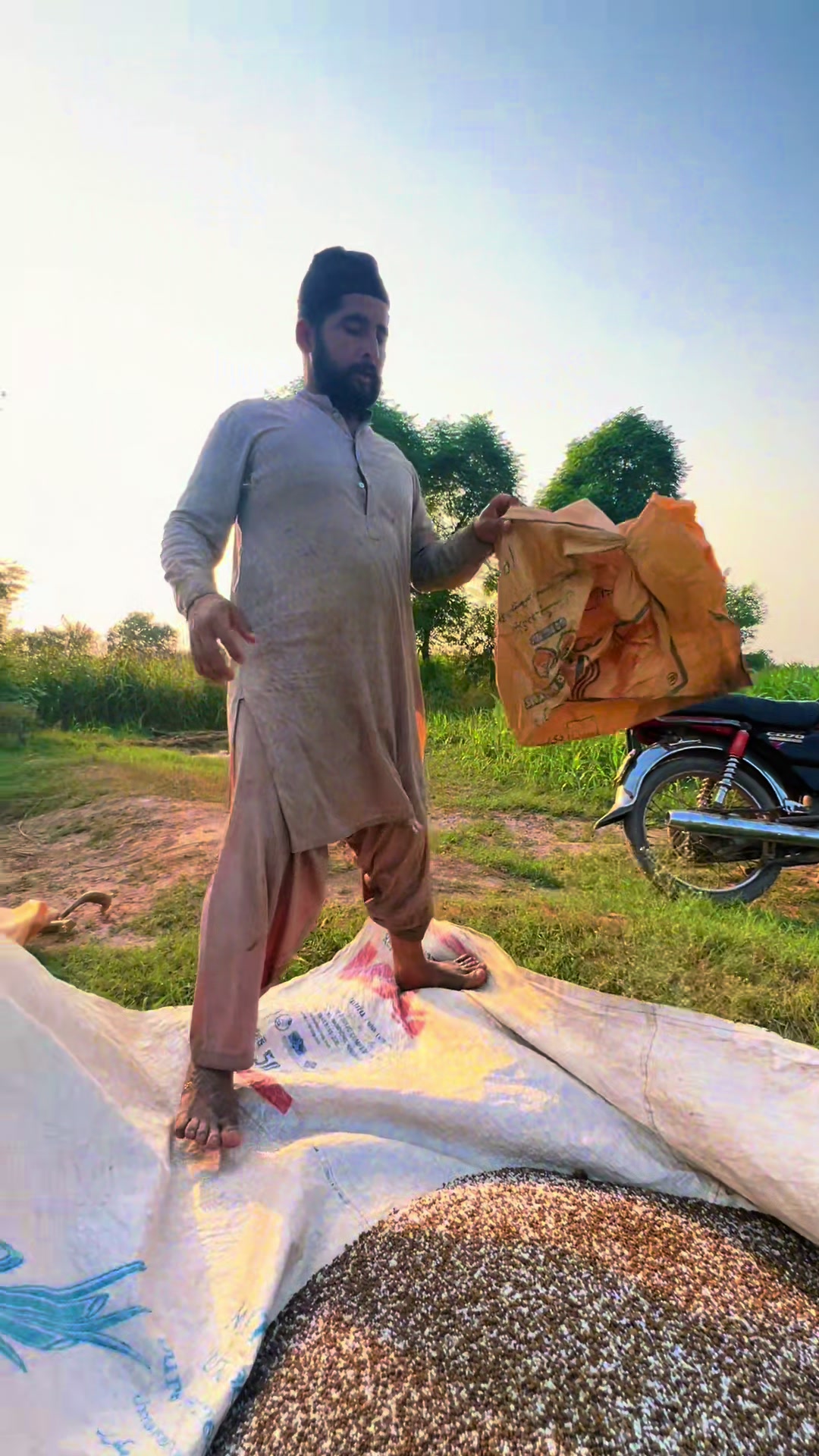 @پینڈو بوائز 378