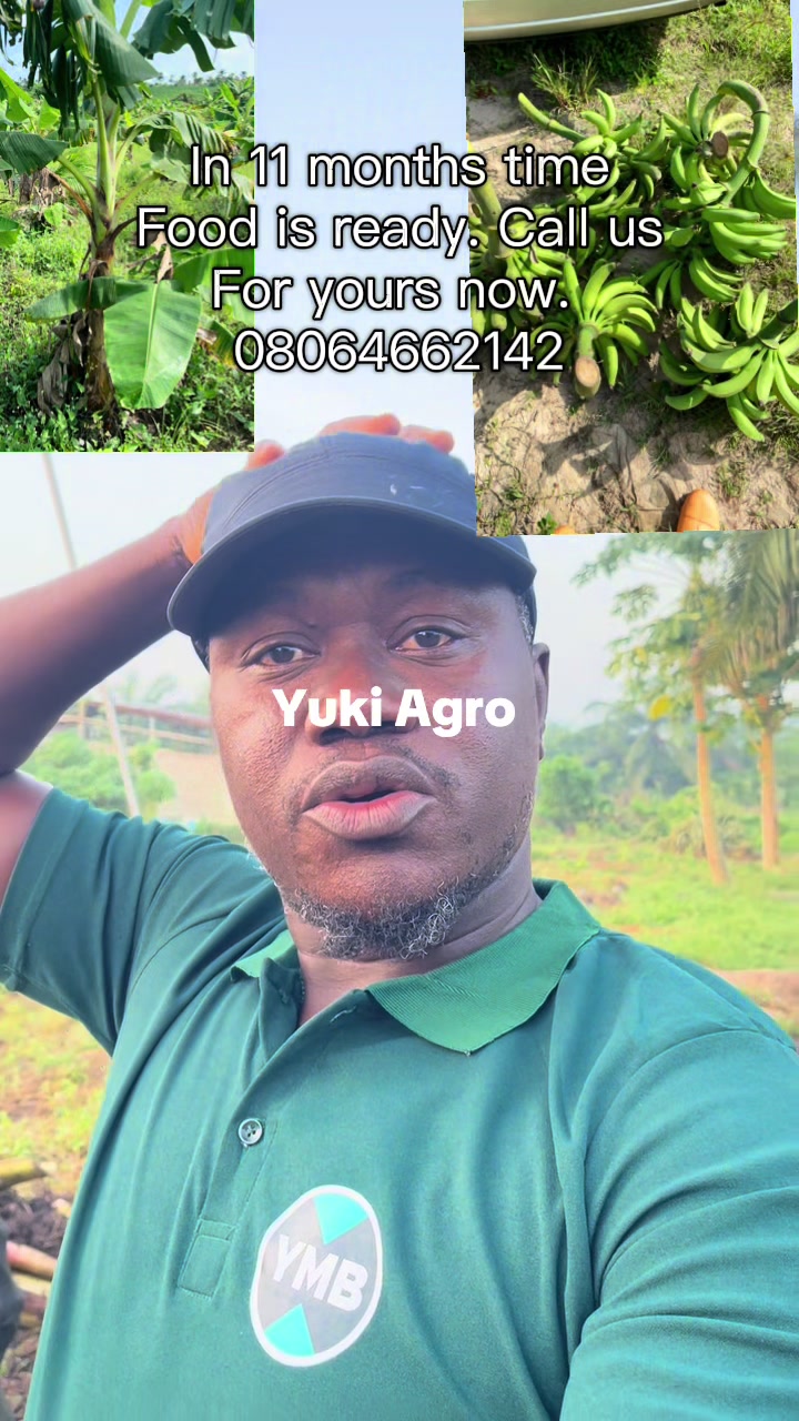@BabaObaTv @Yuki Agro limited